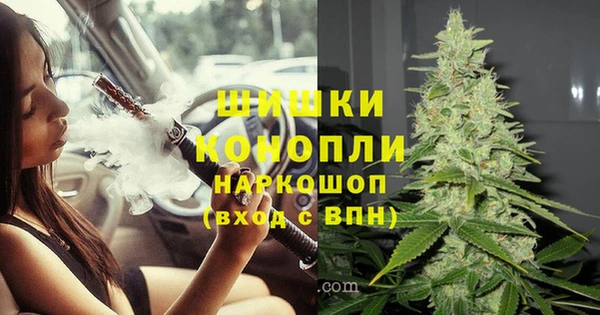 стаф Корсаков