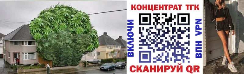 KRAKEN как войти Балашов мориарти телеграм продажа наркотиков ТГК вейп с тгк