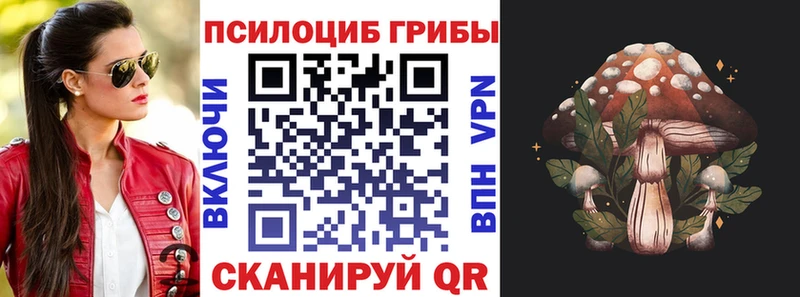 Псилоцибиновые грибы Psilocybe  Балашов 