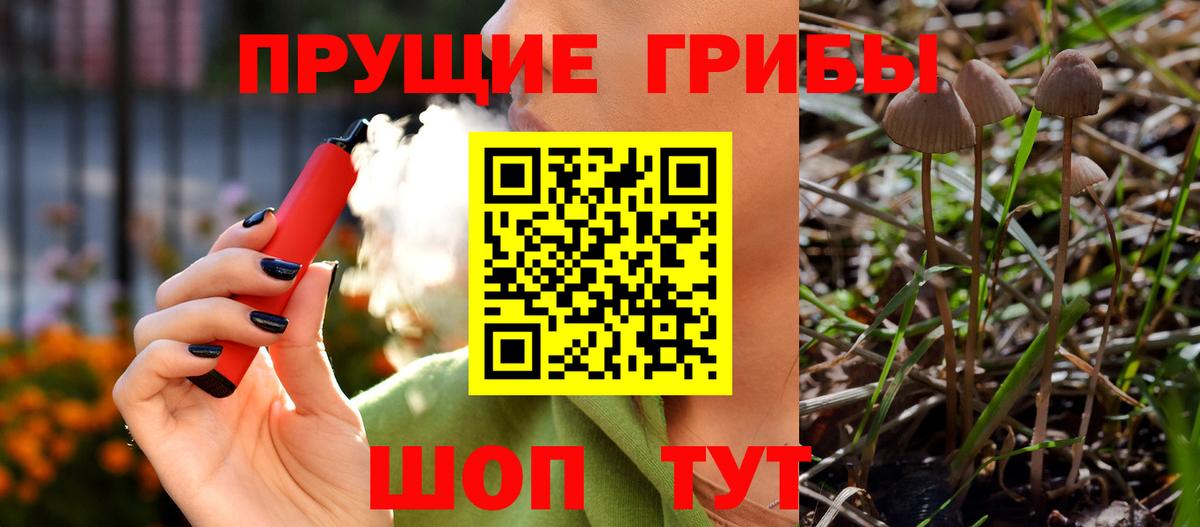 Галлюциногенные грибы мицелий Балашов